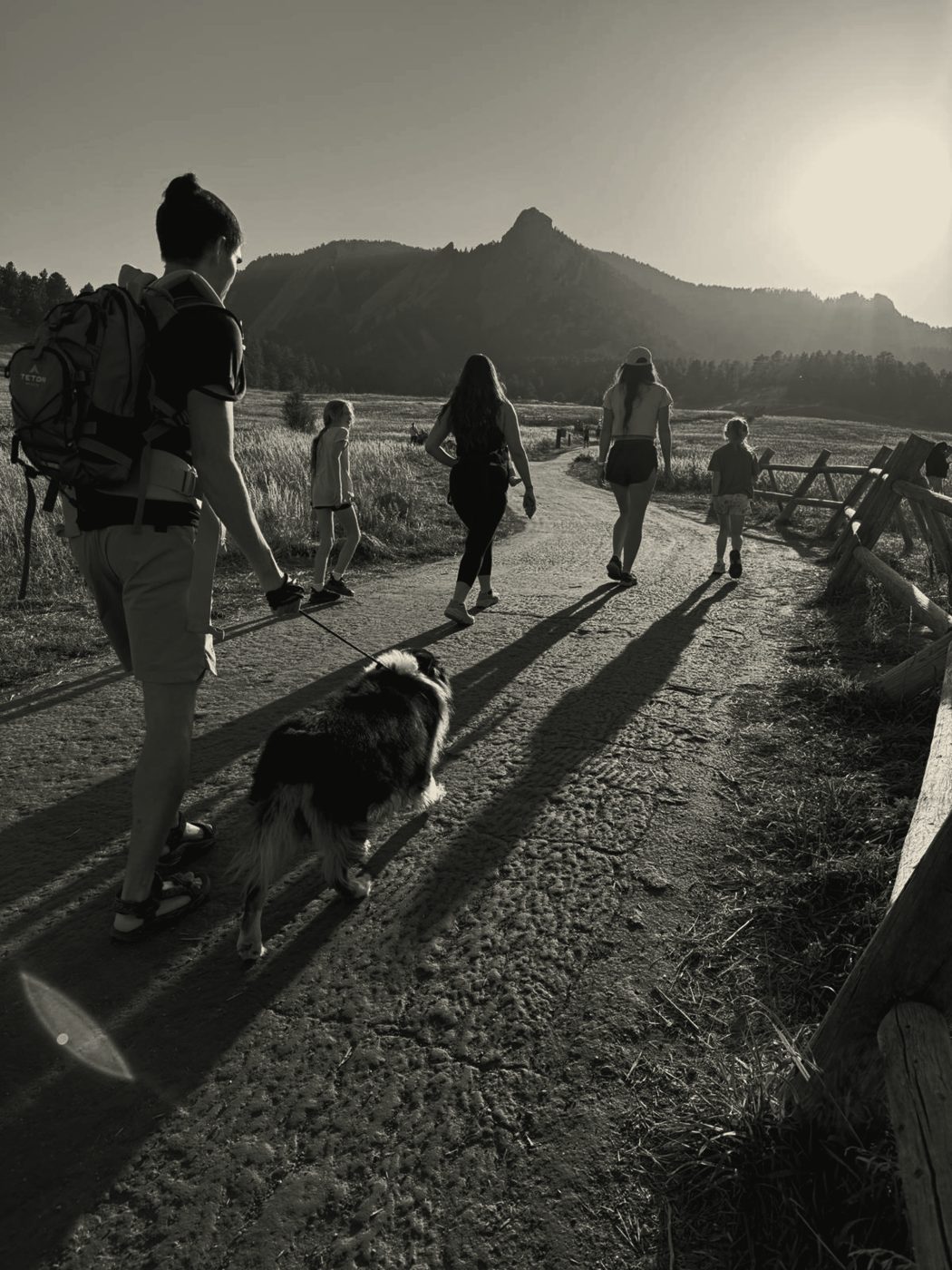 Trail at first light with a dog and a loaded pack